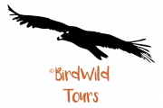 BirdWild Tours